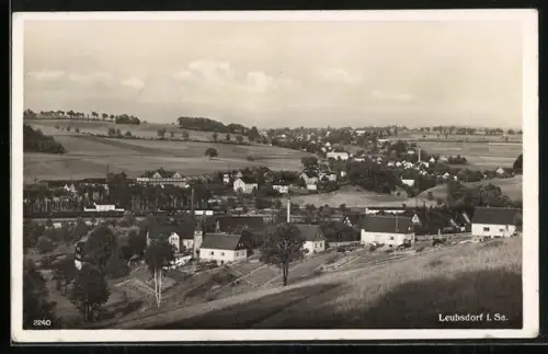 AK Leubsdorf i. Sa., Ortsansicht, Landschaft, Wohnhäuser