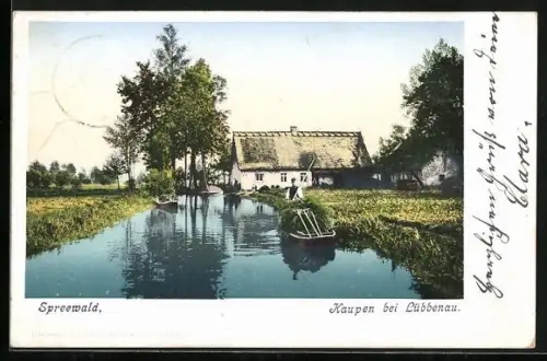 AK Kaupen / Lübbenau, Wasserlauf, Spreewald Kähne, Bauernhaus