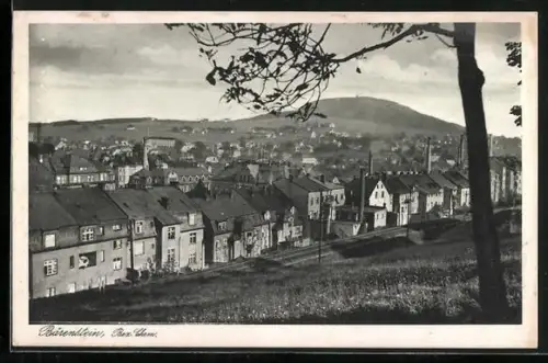 AK Bärenstein /Chemnitz, Panorama, Blick über den Ort