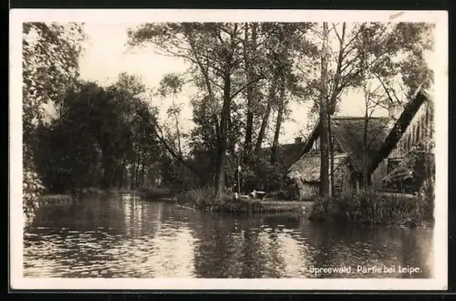 AK Leipe /Spreewald, Partie bei Leipe, Flusslandschaft, Bauernhaus
