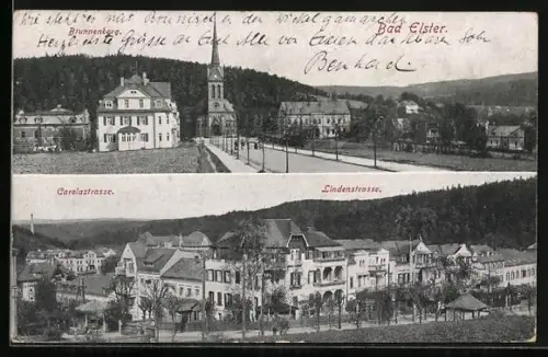 AK Bad Elster, Brunnenberg, Carolastrasse, Lindenstrasse