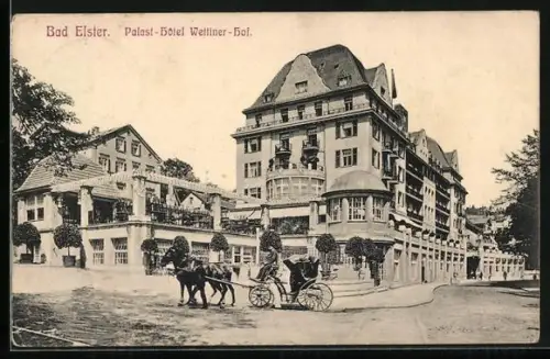 AK Bad Elster, Palast-Hotel Wettiner-Hof