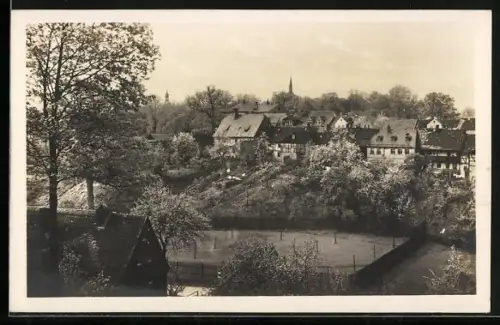 AK Altwaldenburg i. Sa., Ortsansicht mit Wohnhäusern und Kirchturm
