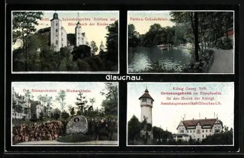 AK Glauchau, Schloss, Bismarckstein, König Georg Stift, Gründelteich
