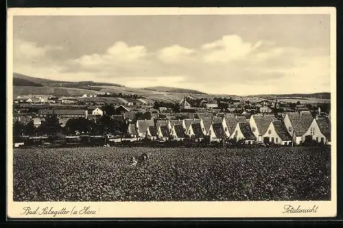 AK Bad Salzgitter a. Harz, Totalansicht