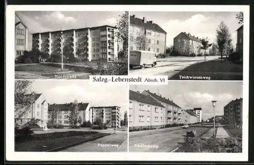 AK Salzgitter-Lebenstedt, Nordstrasse, Teichwiesenweg, Pappelweg, Schäferkamp