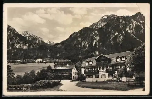 AK Hohenschwangau b. Füssen, Gasthof und Pension Alterschrofen