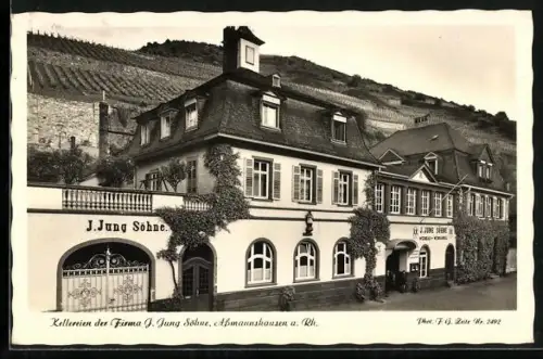 AK Assmannshausen a. Rh., Kellerei der Firma J. Jung Söhne