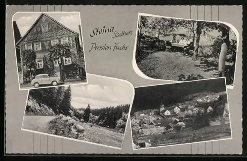 AK Steina /Südharz, Pension Fuchs, Ortsansicht