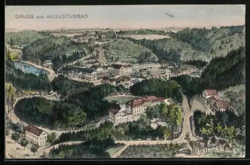 Künstler-AK Augustusbad, Idyllisches Ortspanorama