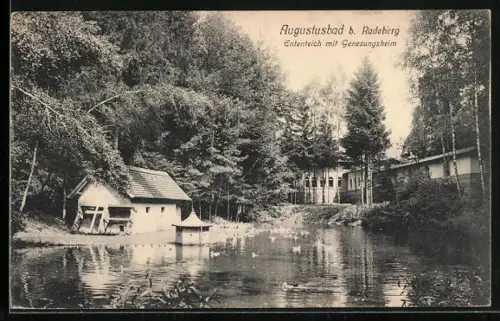 AK Augustusbad b. Radeberg, Ententeich mit Genesungsheim