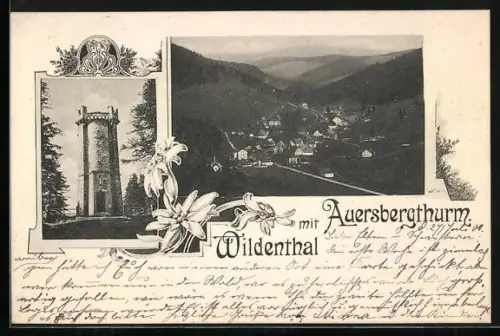 AK Wildenthal, Auersbergthurm, Ortsansicht
