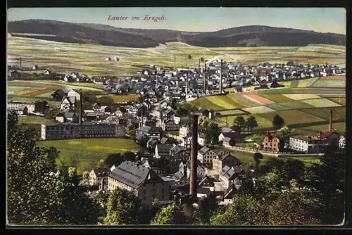 AK Lauter im Erzgeb., Ortsansicht, Fabriken, Wohnhäuser, Felder