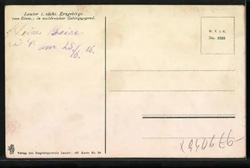 AK Lauter im Erzgeb., Ortsansicht, Fabriken, Wohnhäuser, Felder