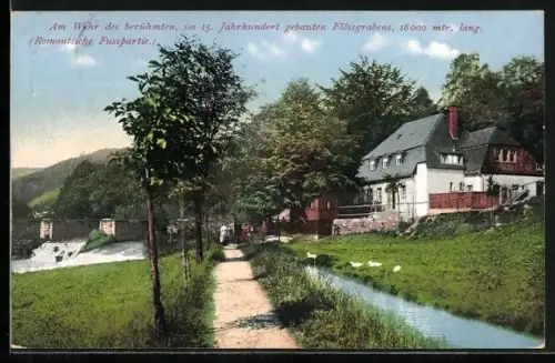 AK Aue / Erzgebirge, Wehr, Flössgraben, romantische Flusspartie