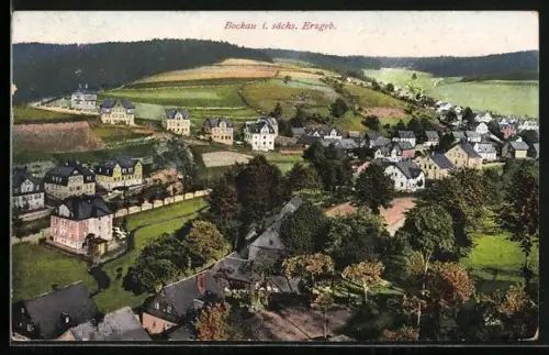 AK Bockau i. sächs. Erzgeb., Ortsansicht, Wohnhäuser, Landschaft