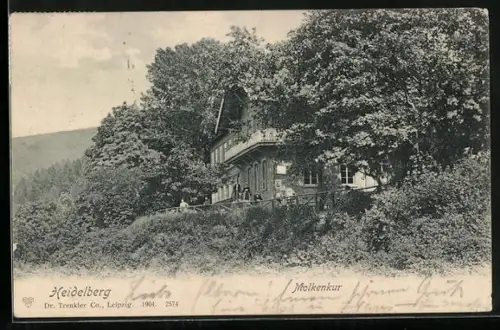 AK Heidelberg, Molkenkur