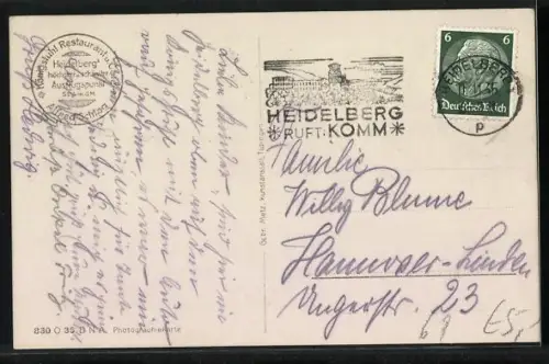 AK Heidelberg, Restaurant und Café Königstuhl