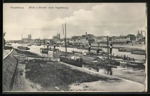 AK Magdeburg, Blick vom Werder auf Elbe und Stadtpanorama