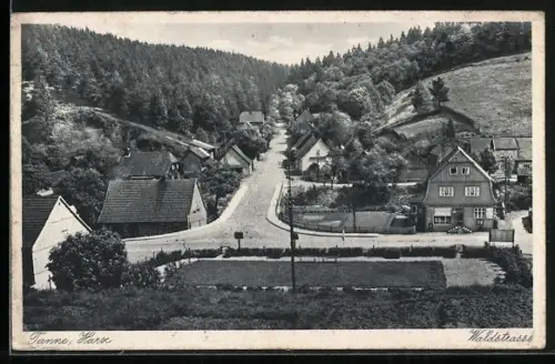 AK Tanne /Harz, Waldstrasse, Ortsansicht