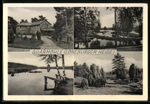 AK Quarmühle /Lüneburger Heide, Gast- und Pensionshaus Quarmühle, Wald, Wasser, Heidelandschaft