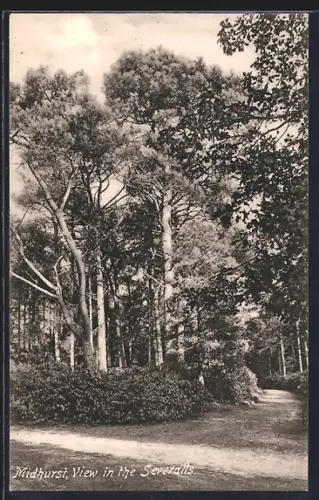 AK Midhurst, View in the Severalls