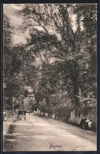 AK Bognor, Street View