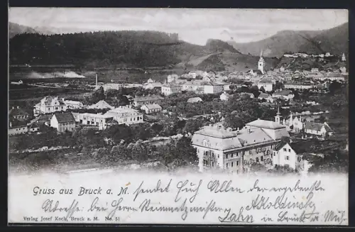 AK Bruck a. d. Mur, Totalansicht mit Bergpanorama