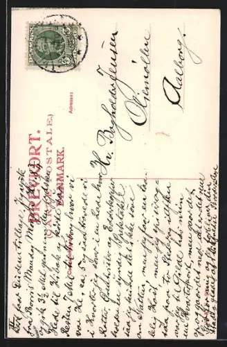 AK Viborg, Domkirken