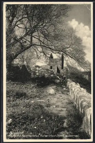 AK Hammershus /Bornholm, Parti fra Hammershus Ruinen med Blommeltaarnet