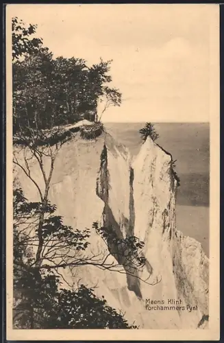 AK Møens Klint, Forchammers Pynt