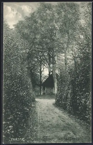 AK Praestø, Pavillonen i Faxingeskoven