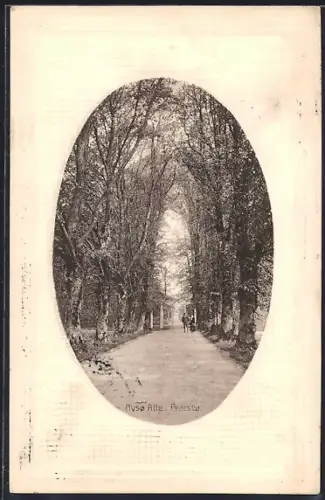 AK Praestø, Nysø Alle