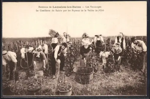 AK Lamalou-les-Bains, La Cueillette du Raisin par les Paysans de la Vallée de l`Orb