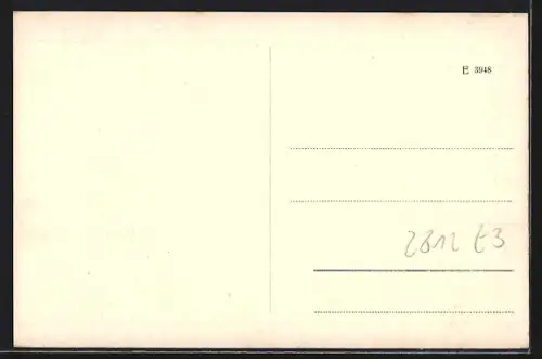 AK Hoya /Weser, Partie an der Weser, Brücke, Boote