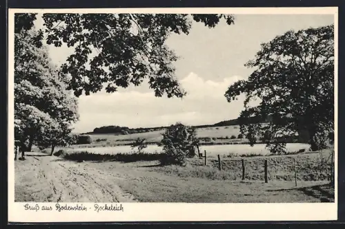 AK Bodenstein / Seesen, Bocketeich, Landschaftsansicht
