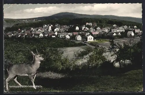 AK Schlossborn /Ts., Ortsansicht aus der Vogelschau