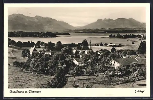 AK Breitbrunn a. Chiemsee, Ortsansicht, Chiemsee, Alpenpanorama