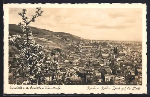 AK Neustadt / Weinstrasse, Kurhaus Kohler, Blick auf die Stadt