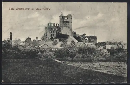 AK Greifenstein / Westerwald, Burg Greifenstein
