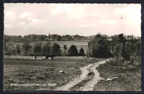 AK Amelinghausen /Lüneburger Heide, Landschaftsansicht mit Feldweg