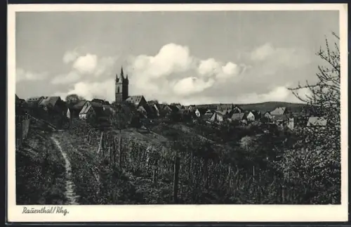 AK Rauenthal /Rhg., Ortsansicht mit Kirche und Weinbergen