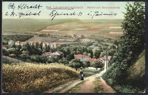 AK Bad Langenschwalbach, Partie am Brunnenberg