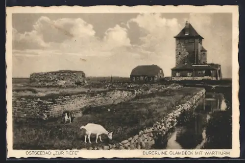 AK Burg / Fehmarn, Burgruine Glambeck mit Wartturm