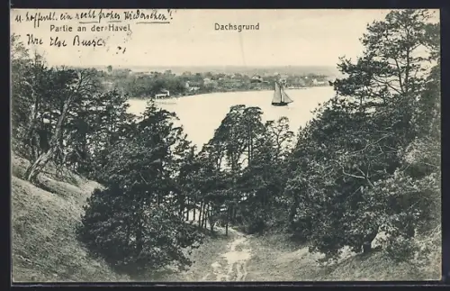 AK Berlin-Grunewald, Dachsgrund, Partie an der Havel