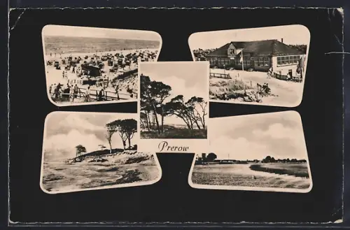 AK Prerow, Strand, Dünen, Waldansichten
