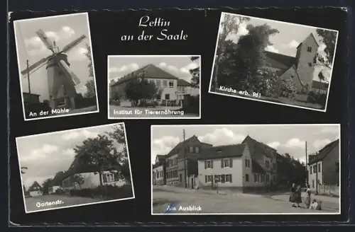 AK Lettin an der Saale, Mühle, Institut für Tierernährung, Kirche erb. 96, Gartenstrasse, Am Ausblick