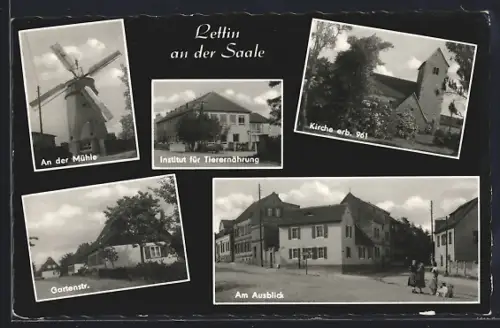 AK Lettin an der Saale, Mühle, Institut für Tierernährung, Kirche erbaut 961, Gartenstrasse