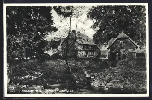 AK Schierke /Harz, Partie an der Bode