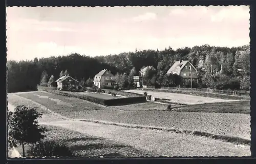 AK Friedrichsbrunn i. Harz, Wohnhäuser am Waldrand